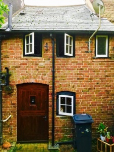 Owl Image